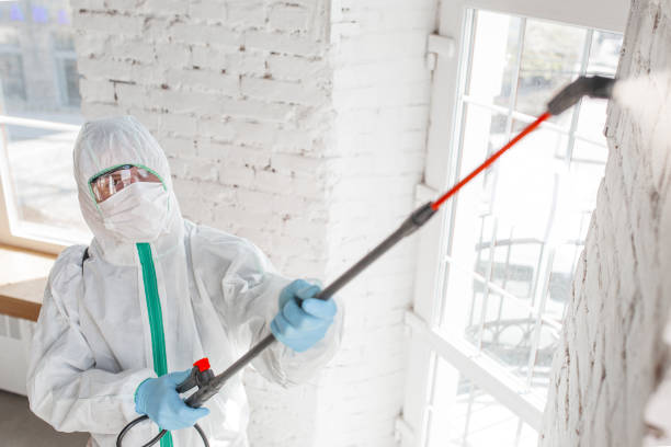 Best Water Damage & Mold Remediation  in Uniontown, PA